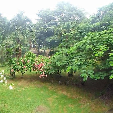 Hotel Ceiba Bonga Acandí Εξωτερικό φωτογραφία