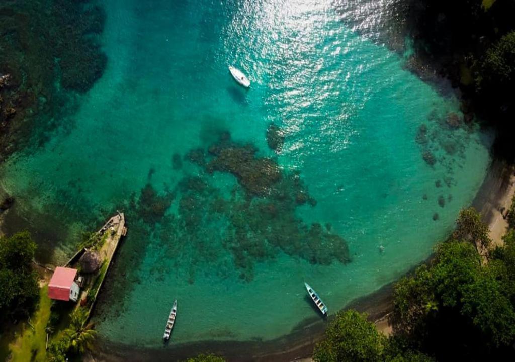 Hotel Ceiba Bonga Acandí Εξωτερικό φωτογραφία