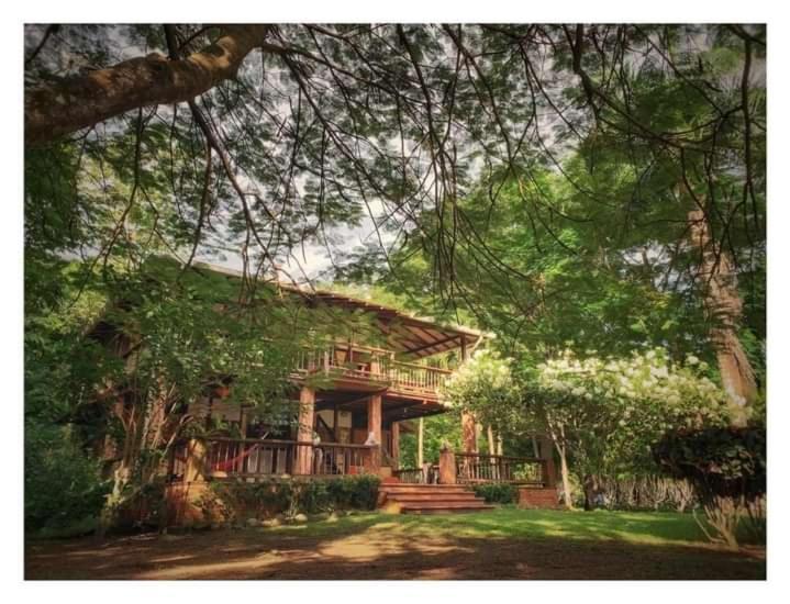 Hotel Ceiba Bonga Acandí Εξωτερικό φωτογραφία